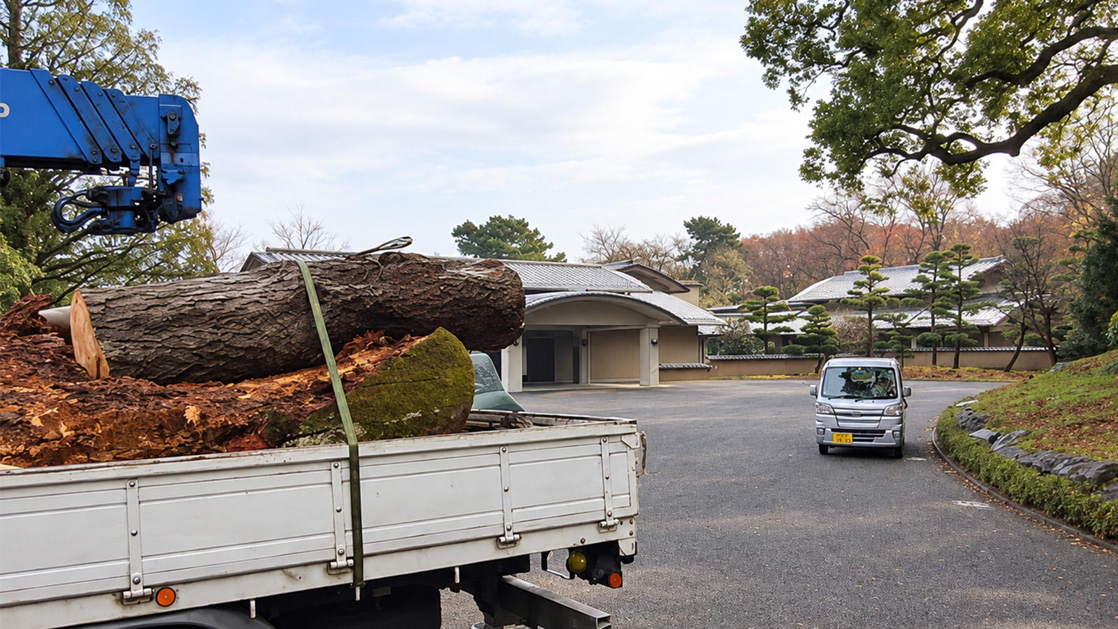 伐採後の発生材の搬出・処分