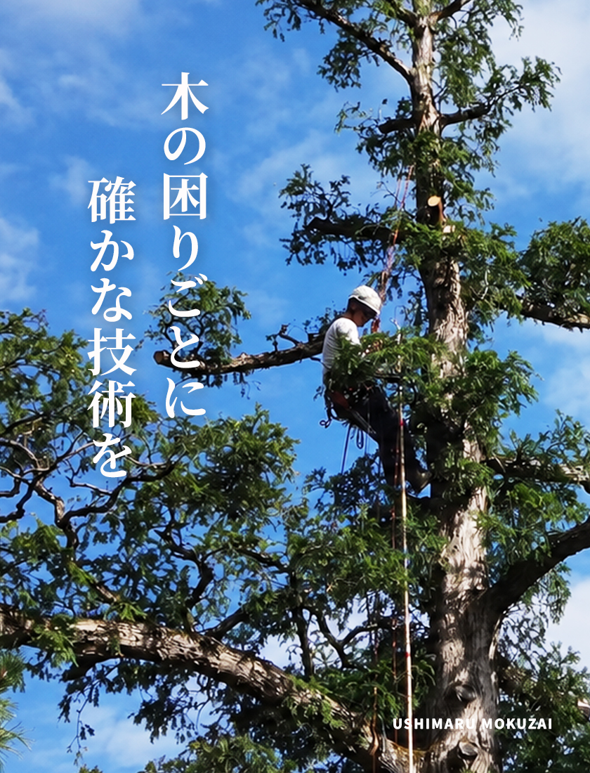 木の困りごとに 確かな技術を